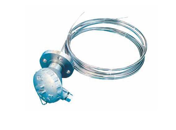 �������ȵ�ż