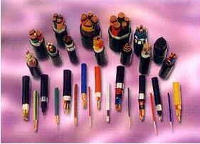 ��Ƶ��������·��������