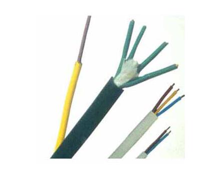 �������͸��¿��Ƶ���