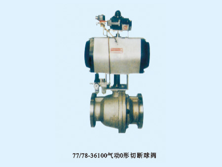 77/78-36100����O���ж���